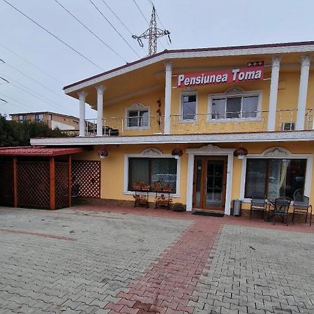 Pensiunea Toma Hotel Ploieşti Exterior foto